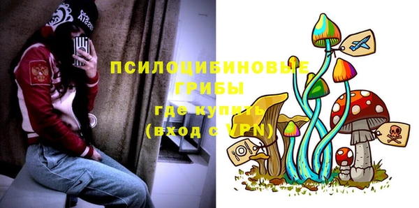 spice Алексеевка