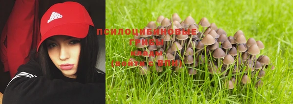 таблы Алзамай