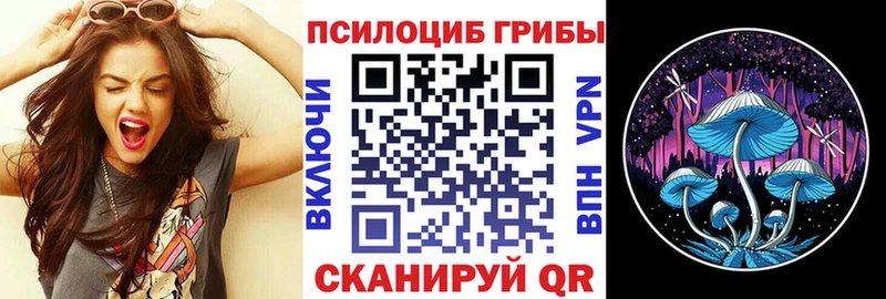 Галлюциногенные грибы Cubensis  KRAKEN tor  Сольцы 